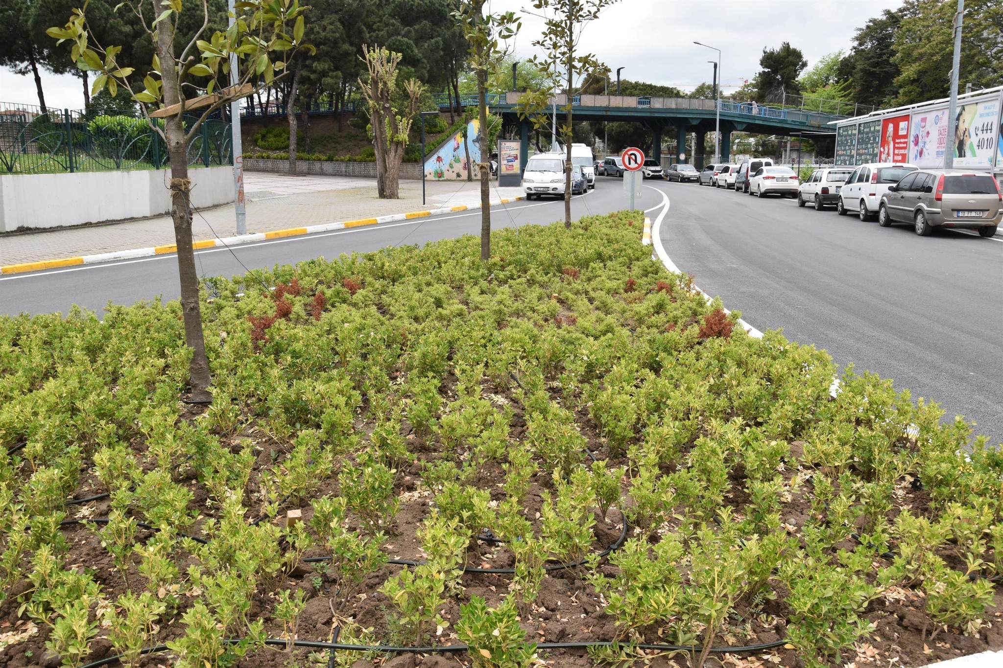 579990340 1366346894847328 4144861027394119733 N