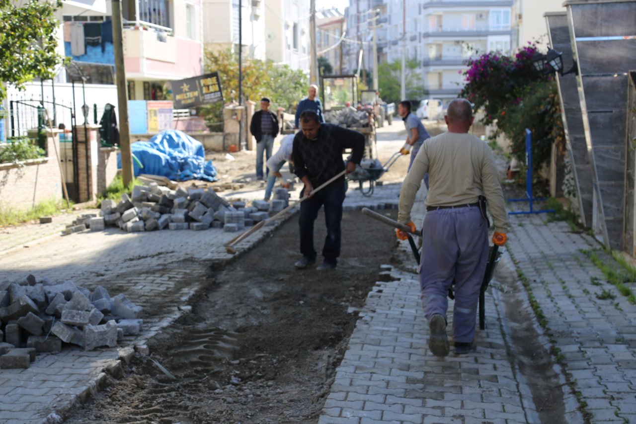 580924855 845988764458817 6197896951074162632 N