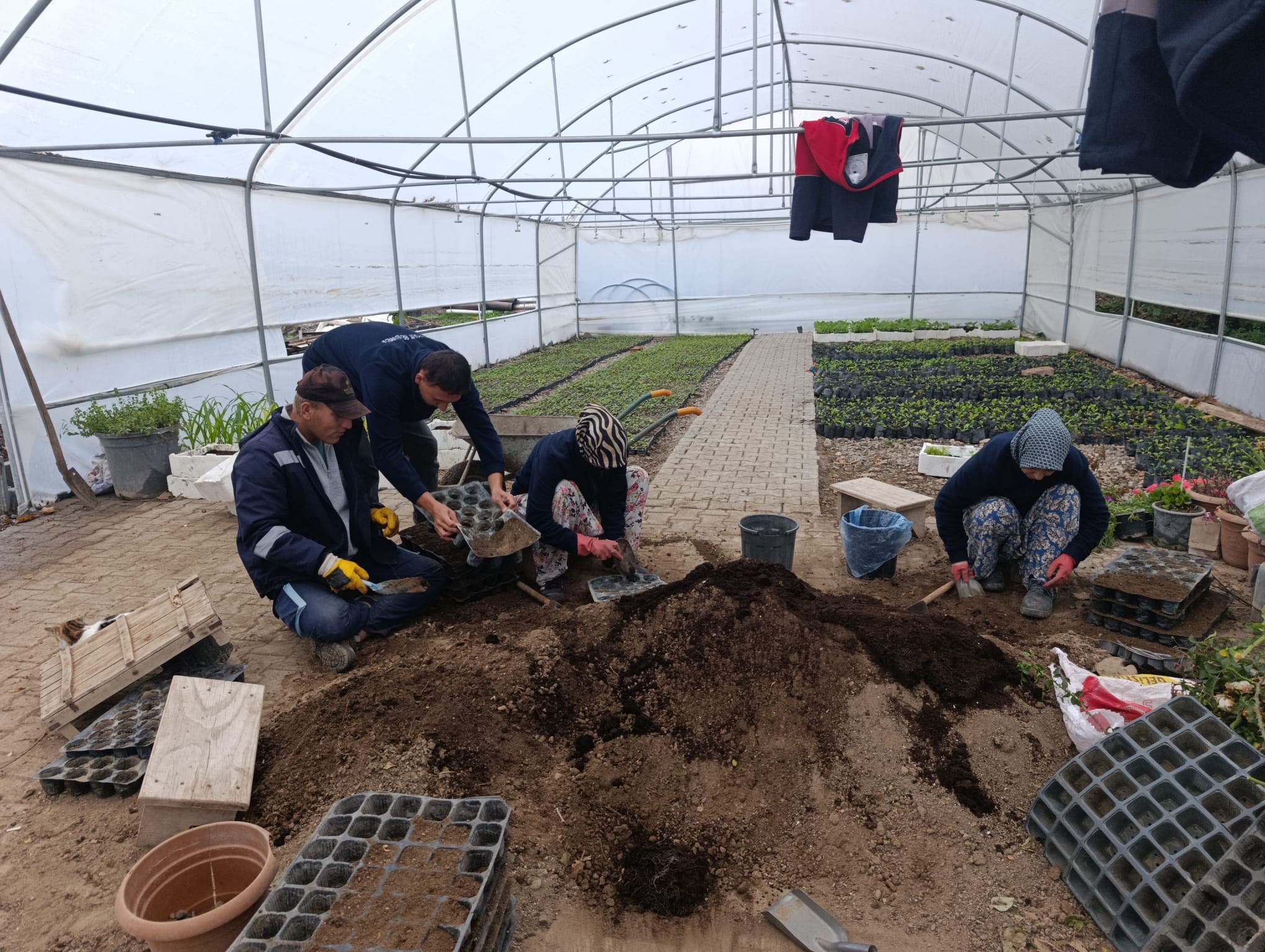 581818746 1156842439982085 1132372109186182537 N