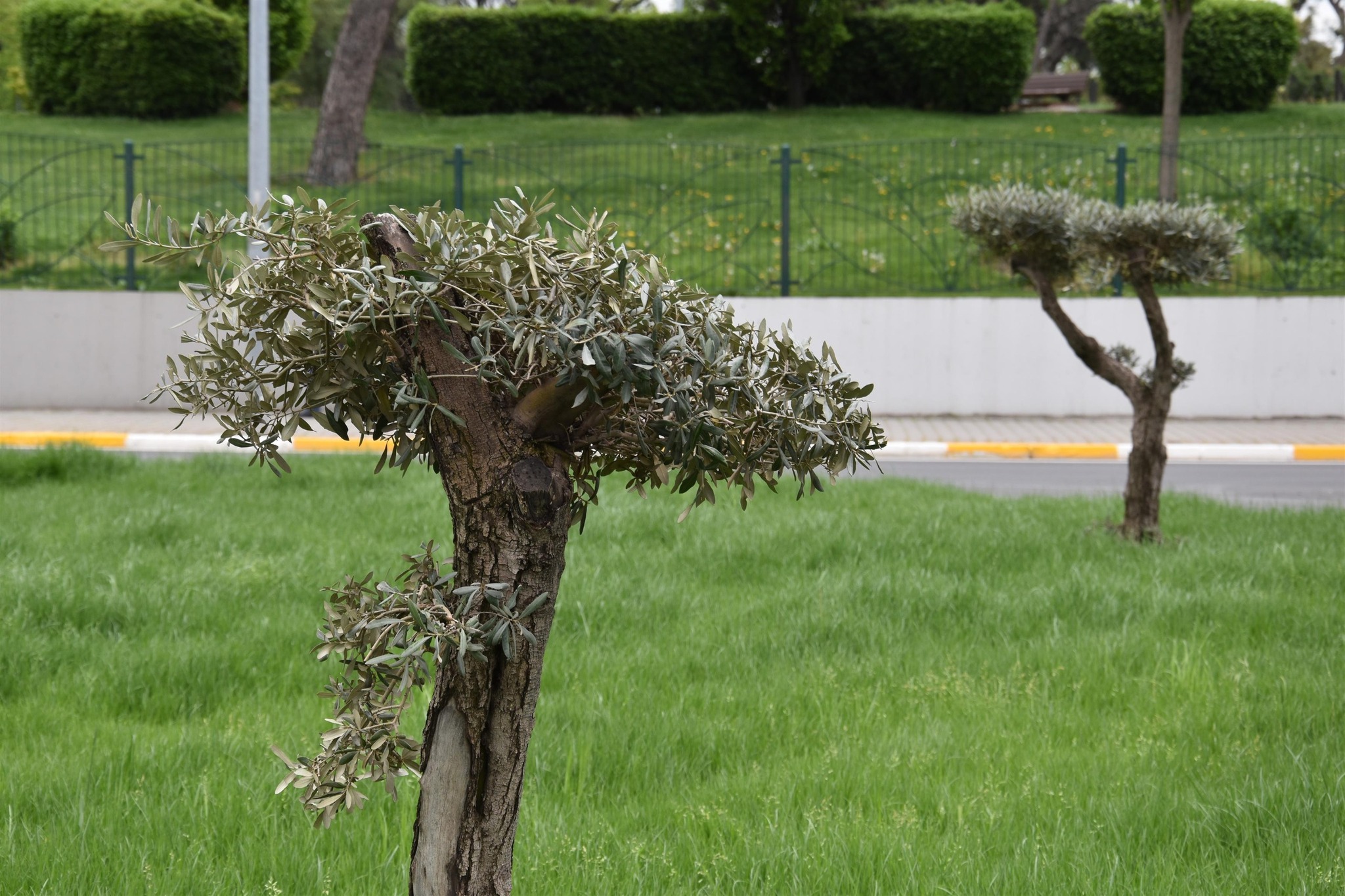 581924609 1366347004847317 8080027185097980486 N