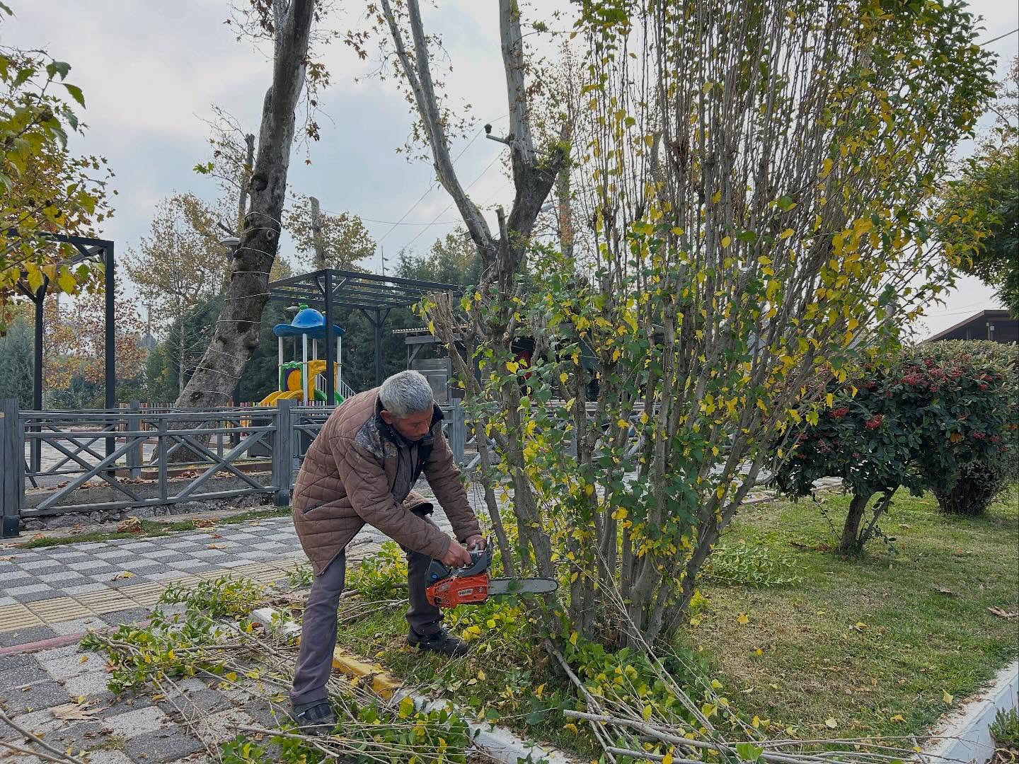 581945992 18499405732079512 8377974105702468623 N