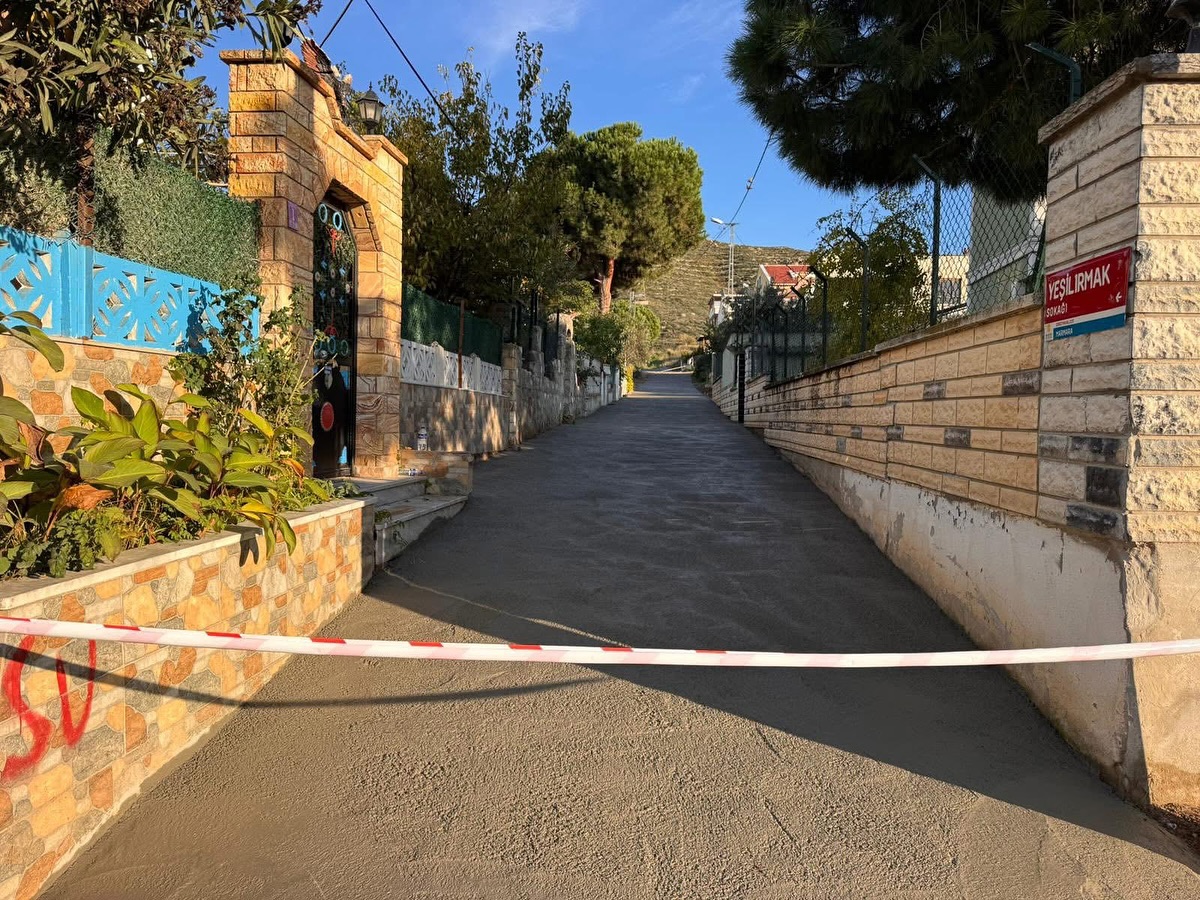 582079224 18328038172211244 2204893536646011358 N