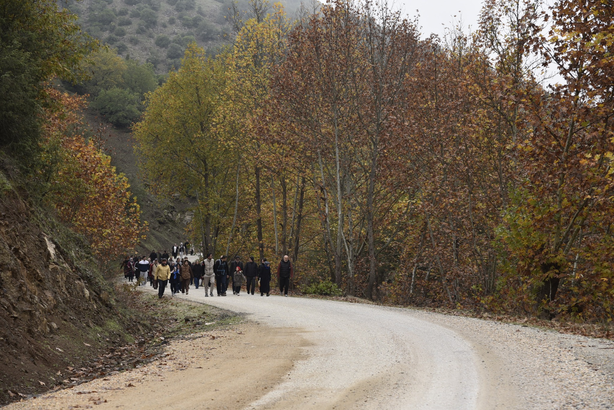 582661011 1250916930407890 3475614935943776890 N