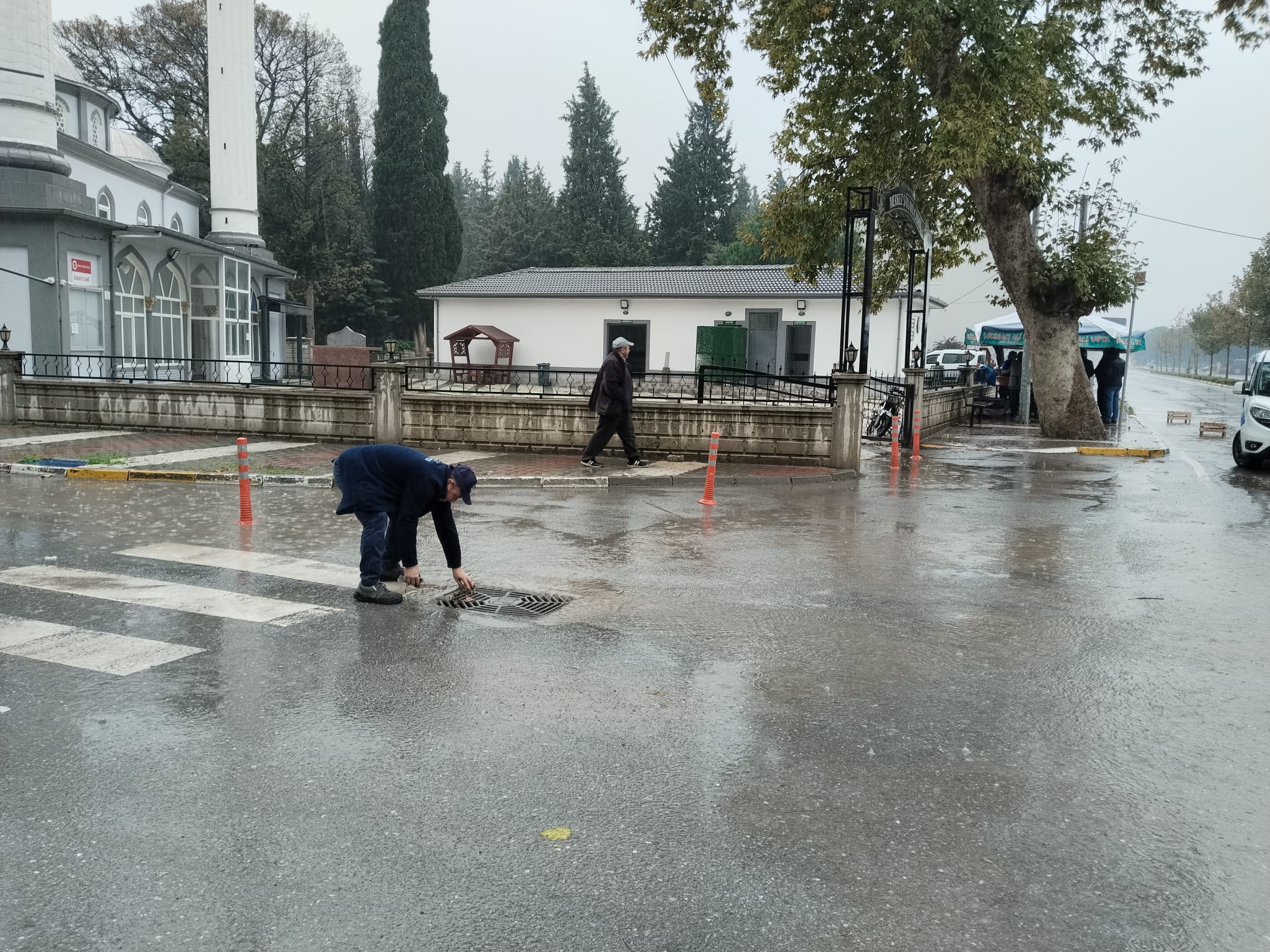 582706546 1156059636727032 9021257821261304144 N