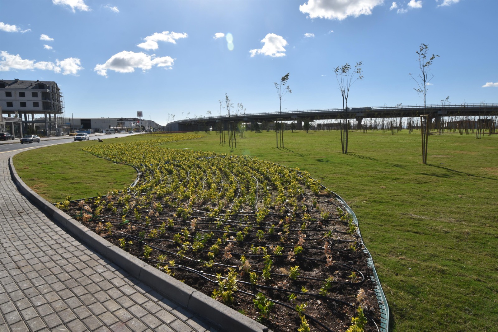 582764003 1366346404847377 3046640985748818372 N