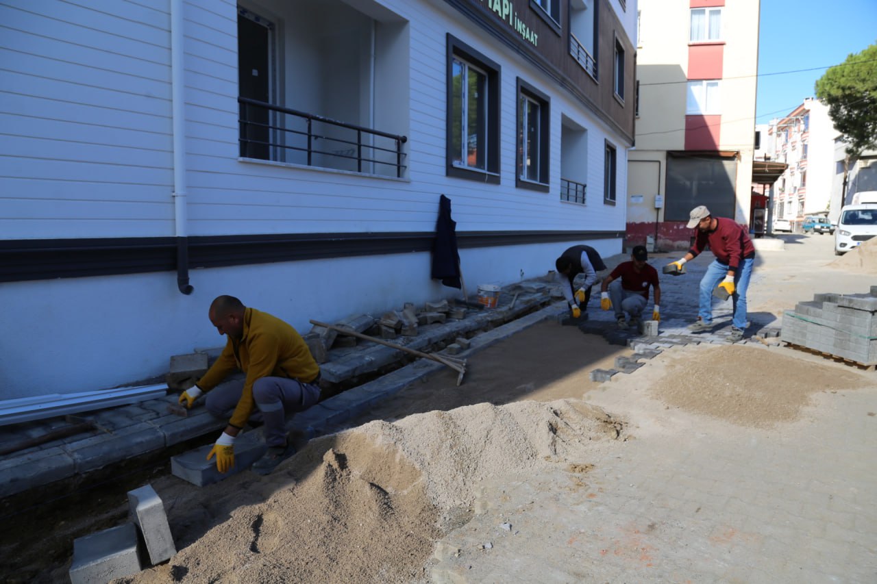 583088636 845987261125634 4200253488439006678 N