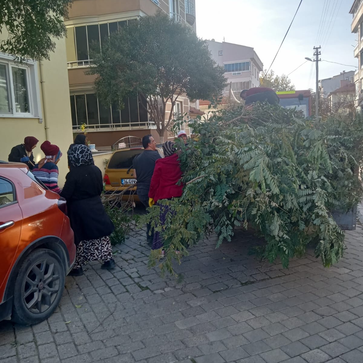 583108107 122219610674300867 5563428777995938629 N