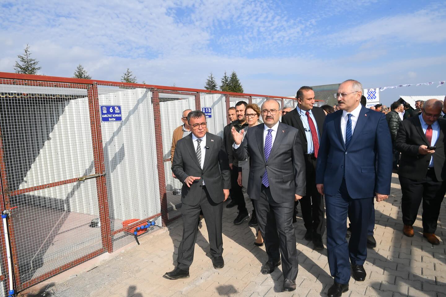 583394851 18315593746222704 7862629155613397683 N