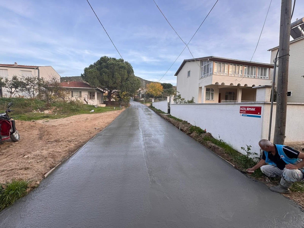 584059385 18328038193211244 4797329062082671979 N