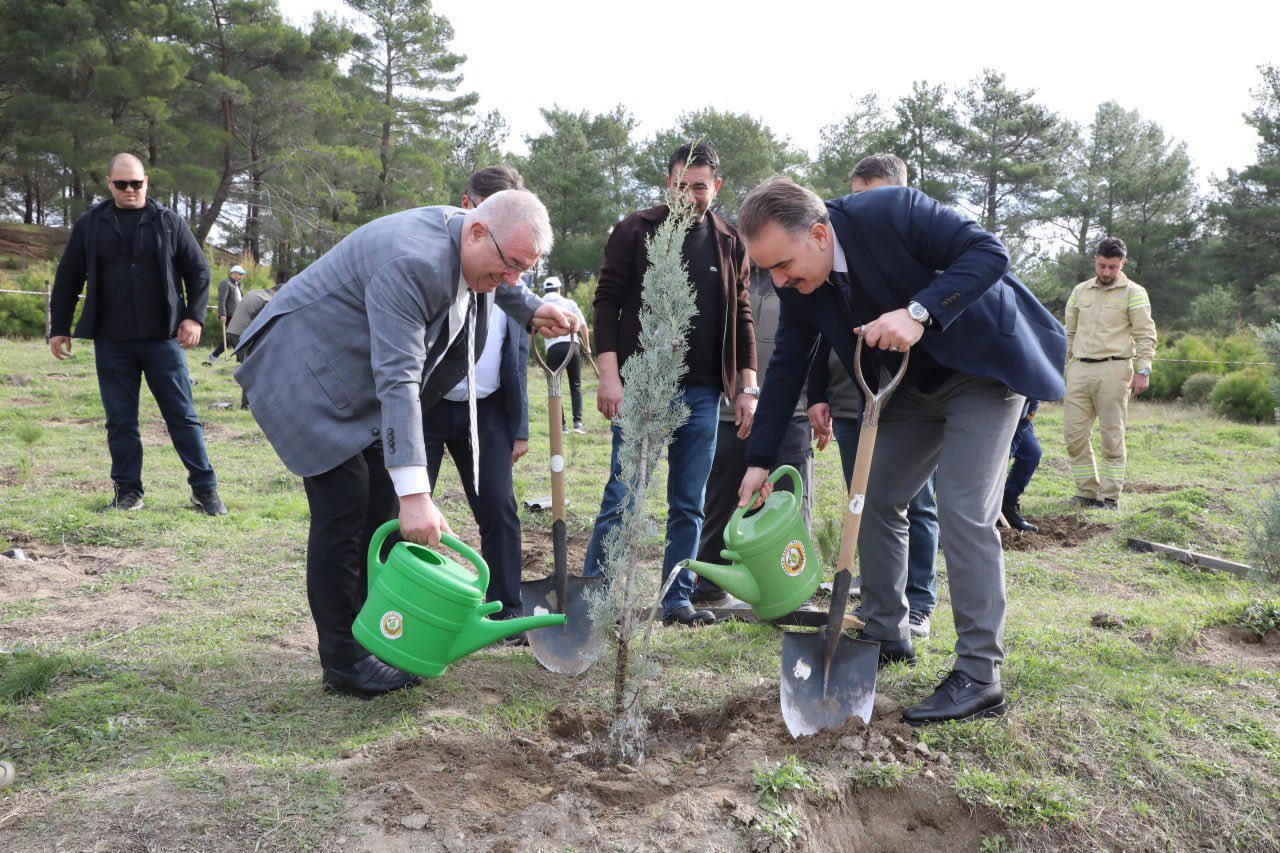 584737280 122225739404138429 5300012216801251977 N