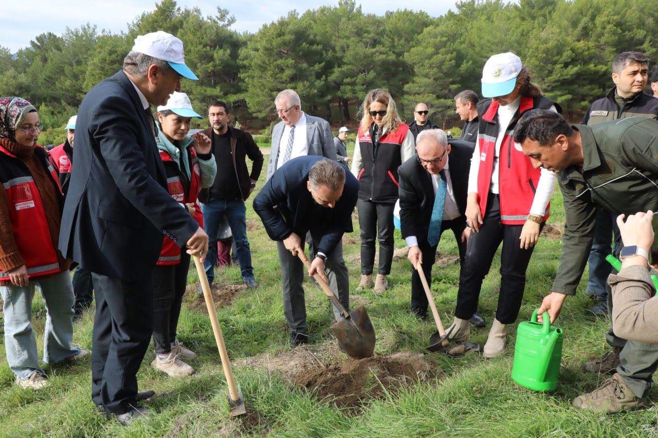 584778674 122225739362138429 926241515016997600 N