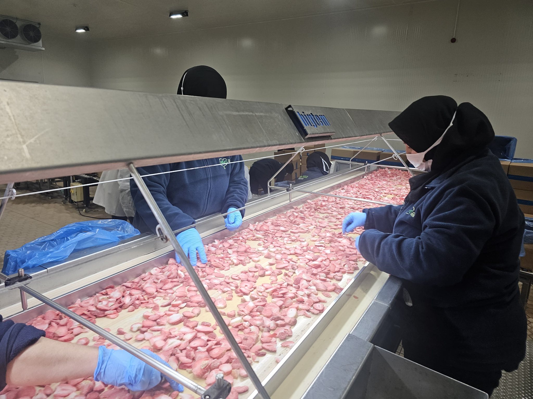 584822193 122203062308335762 4938990227048426549 N