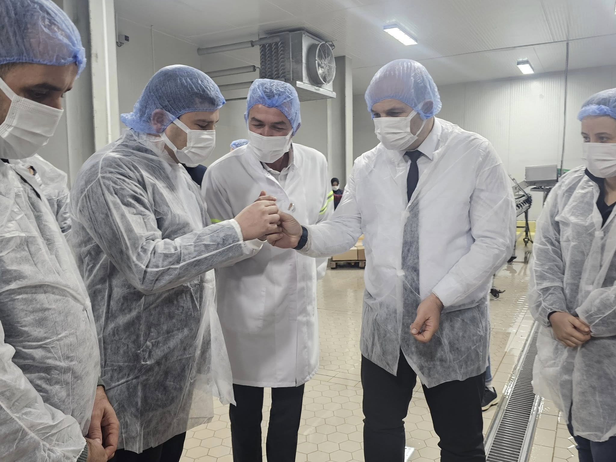 584954770 122203062356335762 2320924697175619868 N