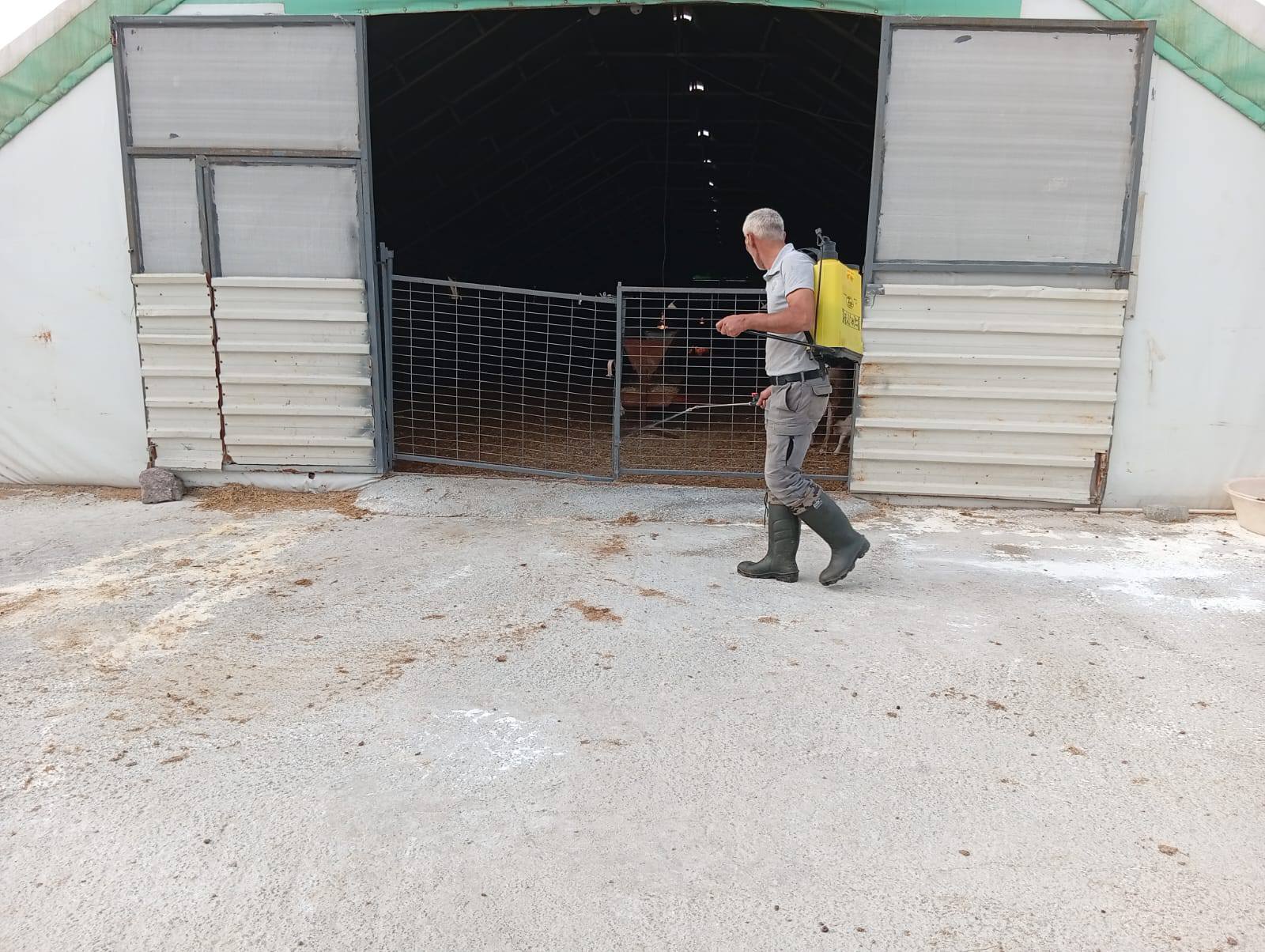 585330565 1161404612859201 1567127259799905889 N