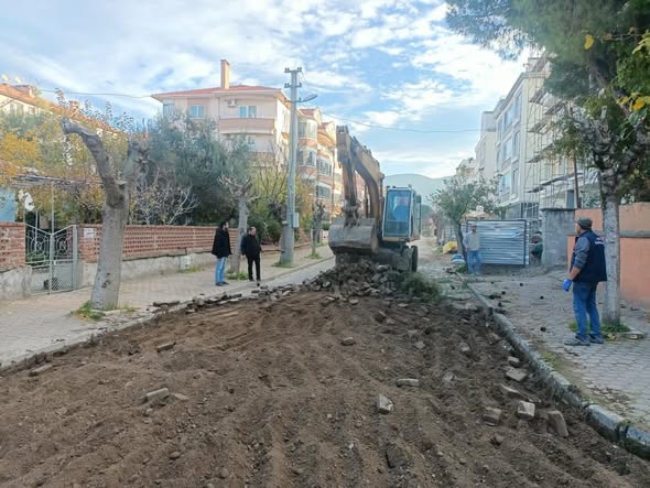 586674768 17917901808214446 8007385755920605320 N