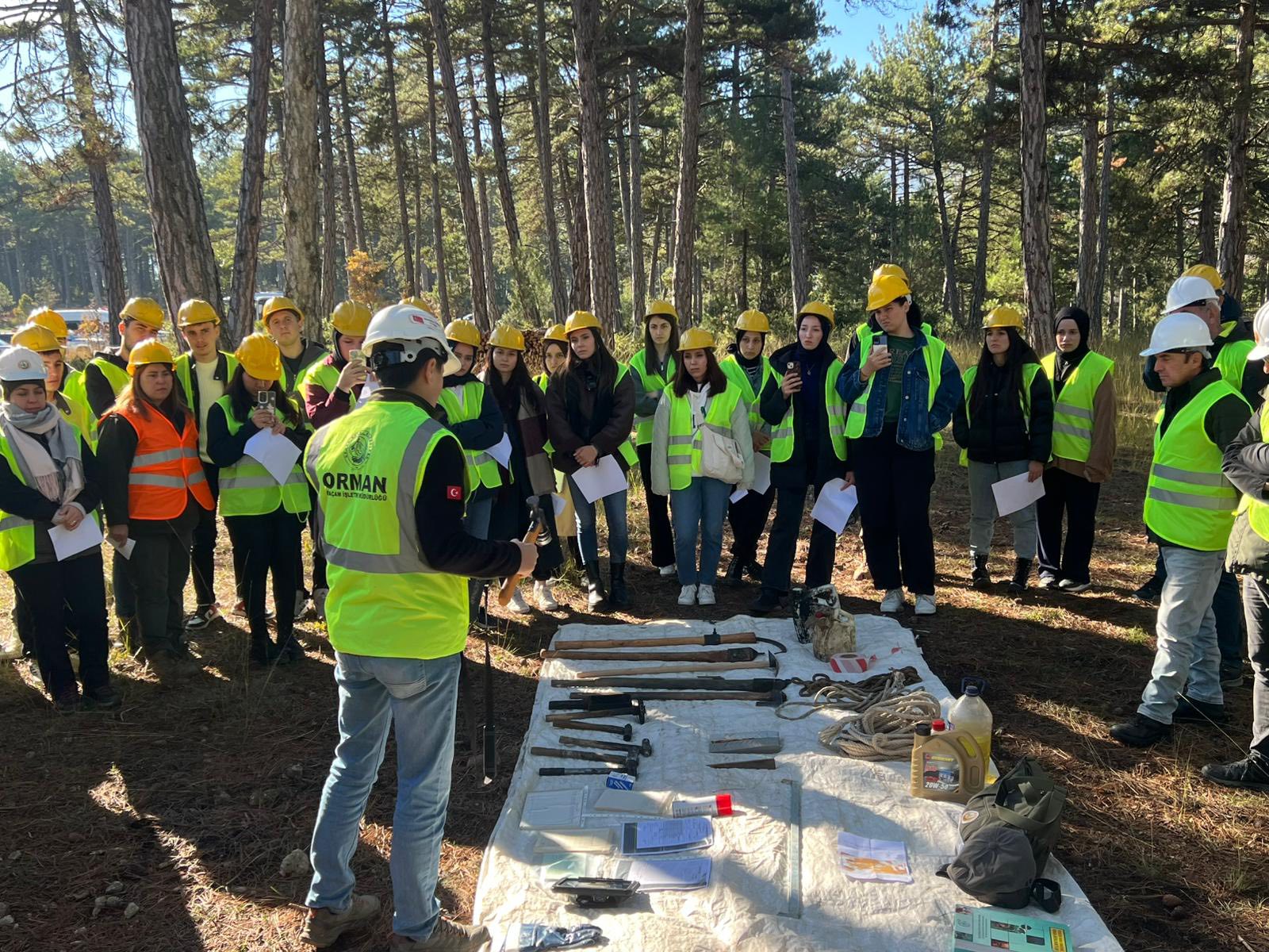 587314589 1307302338104768 2354279022298235955 N