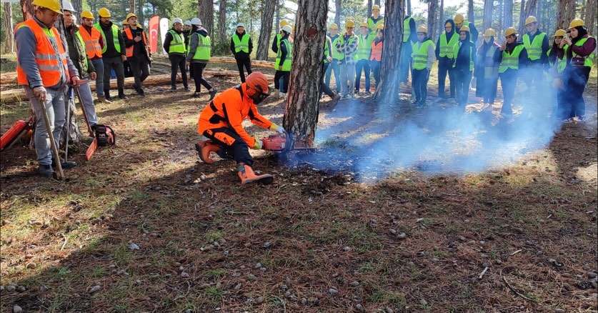 587563072 18500560471079512 944587584974466271 N