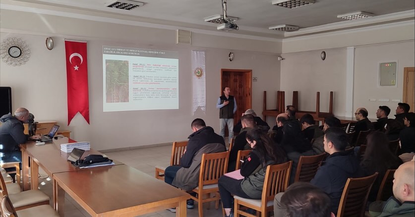 588209004 18500560480079512 626981429815478615 N