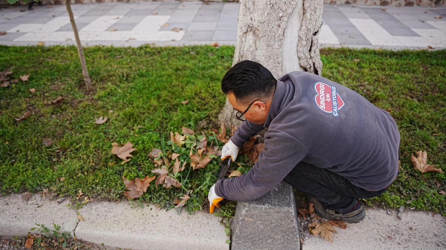 588254822 25399975599640417 1694763614543392209 N