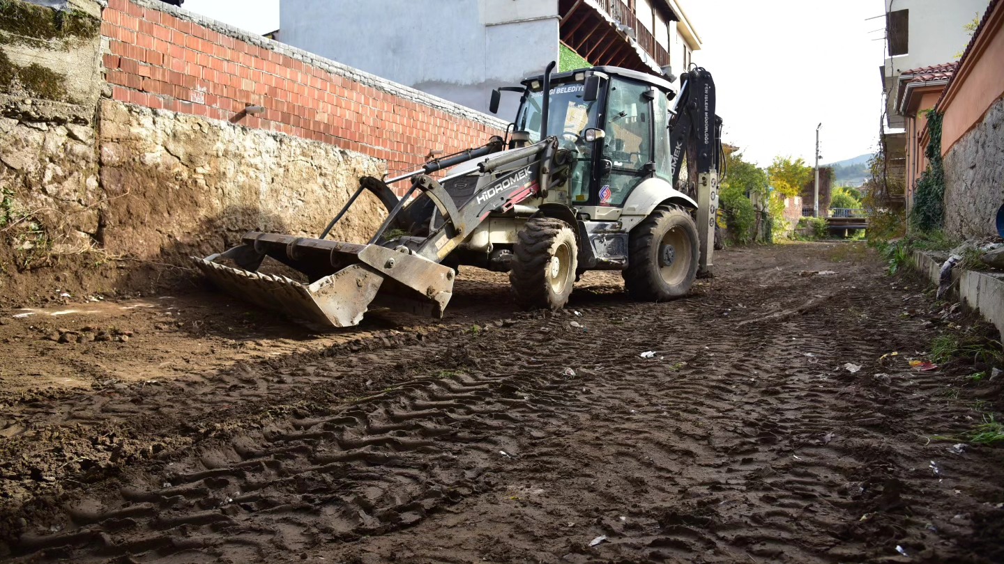 588367524 25399975572973753 4989873308099060240 N