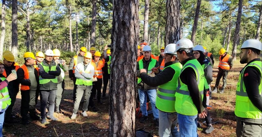 588808768 18500560453079512 7487227569272488093 N