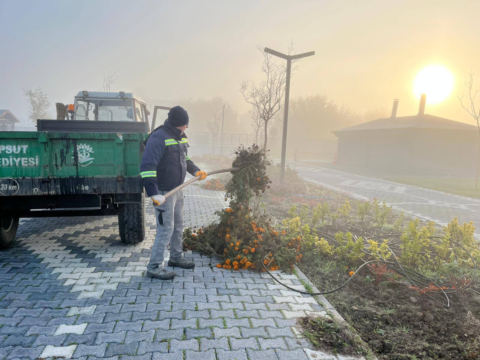 589417584 1166819488984380 8205024235624039402 N