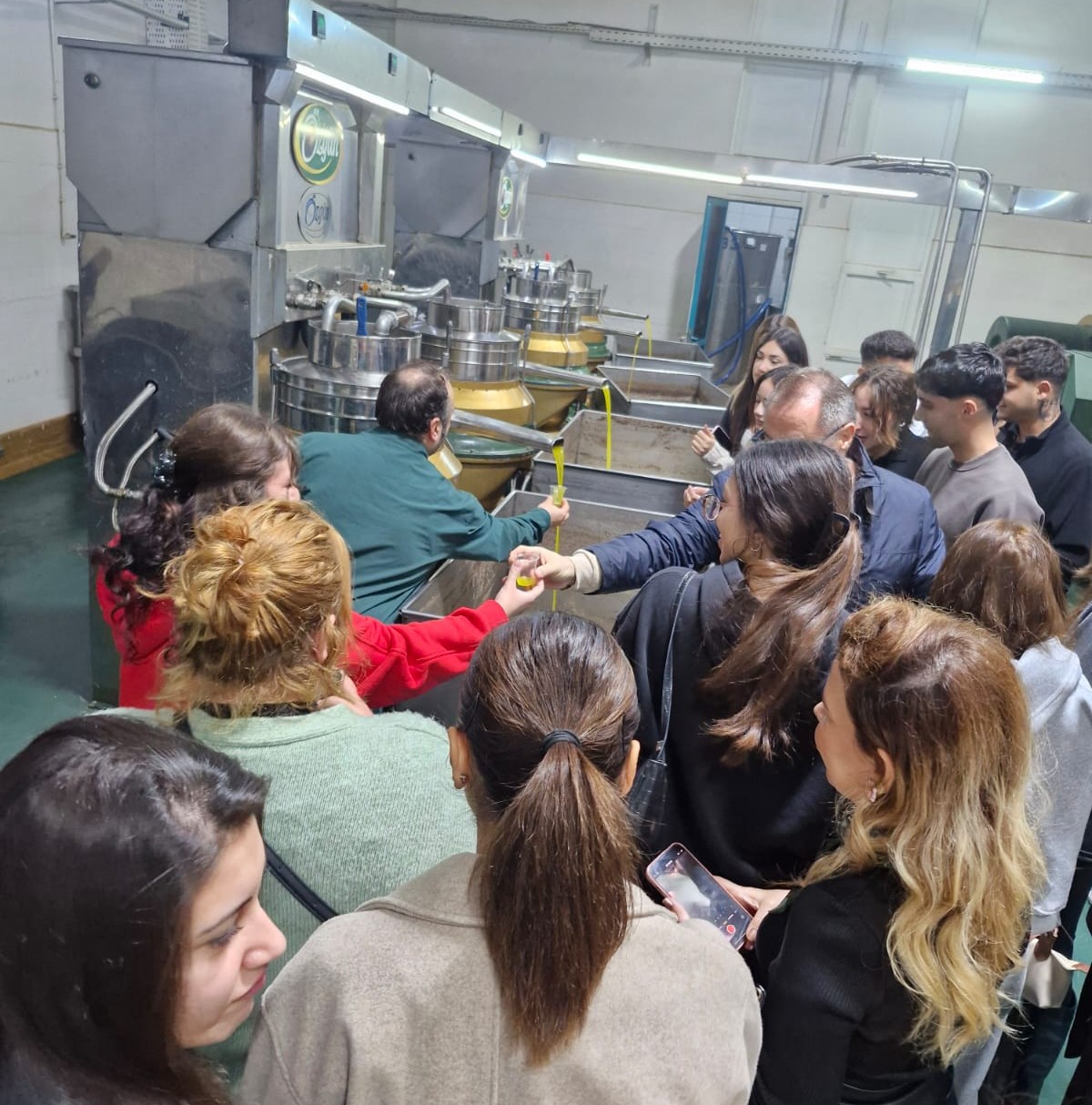 589499240 1280787310745124 2654085064242321698 N