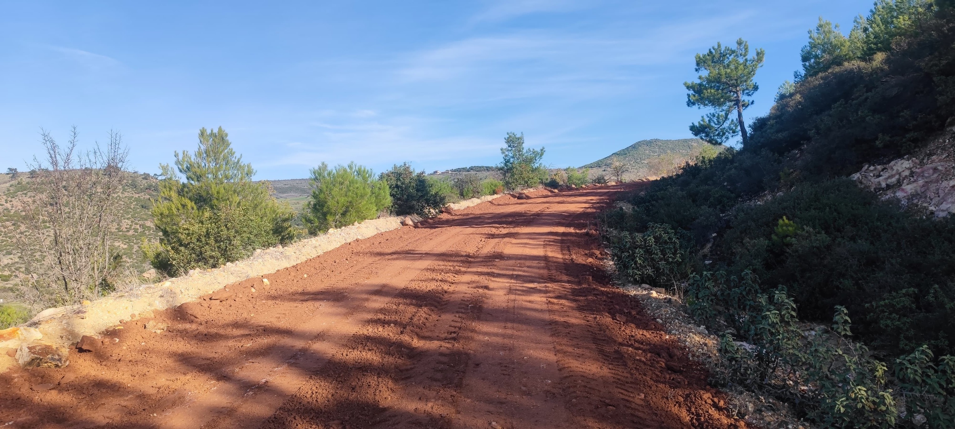 589789505 1166821782317484 6493257433919874250 N