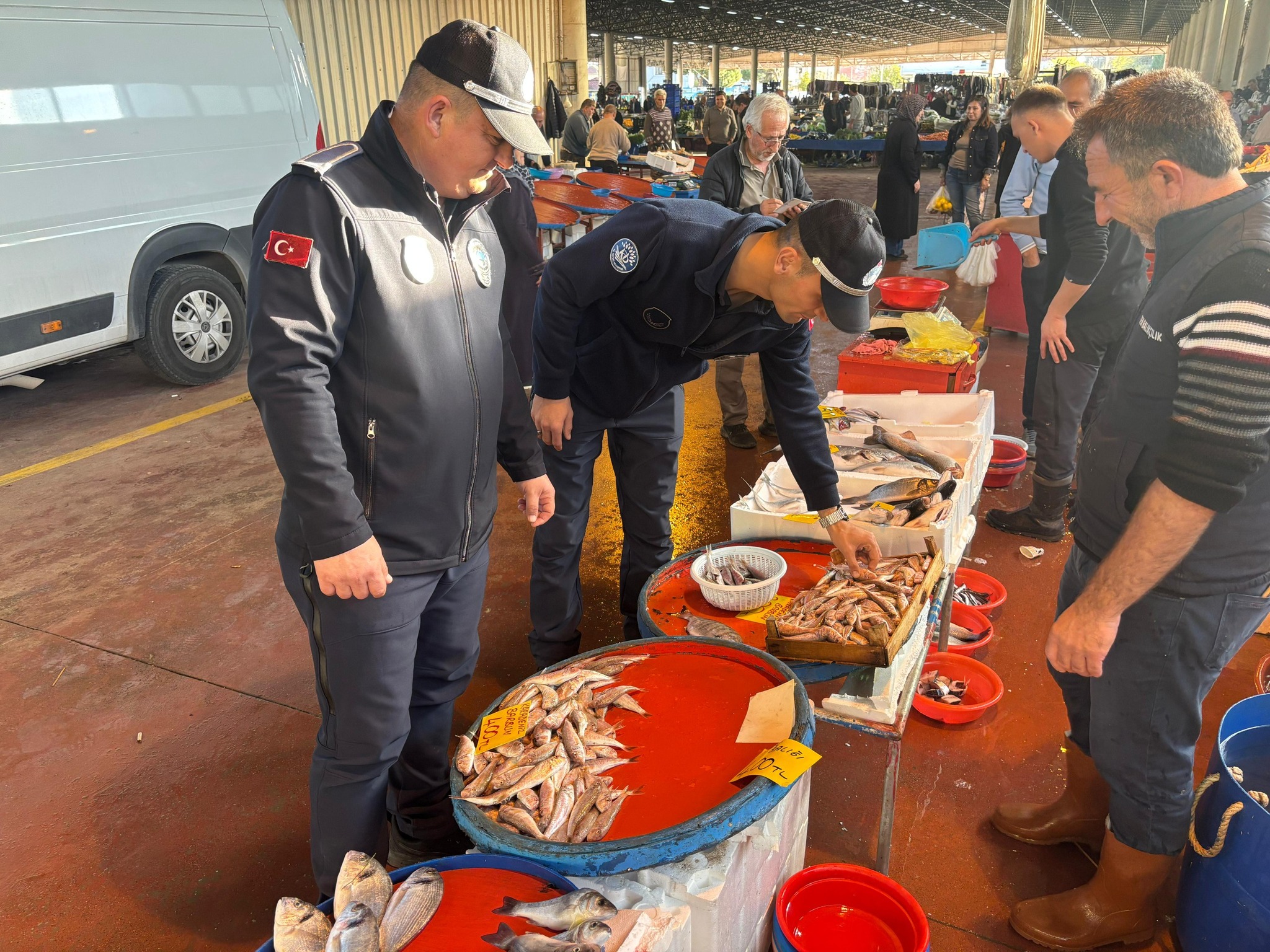 589827498 1168361112163551 7929077559425431685 N