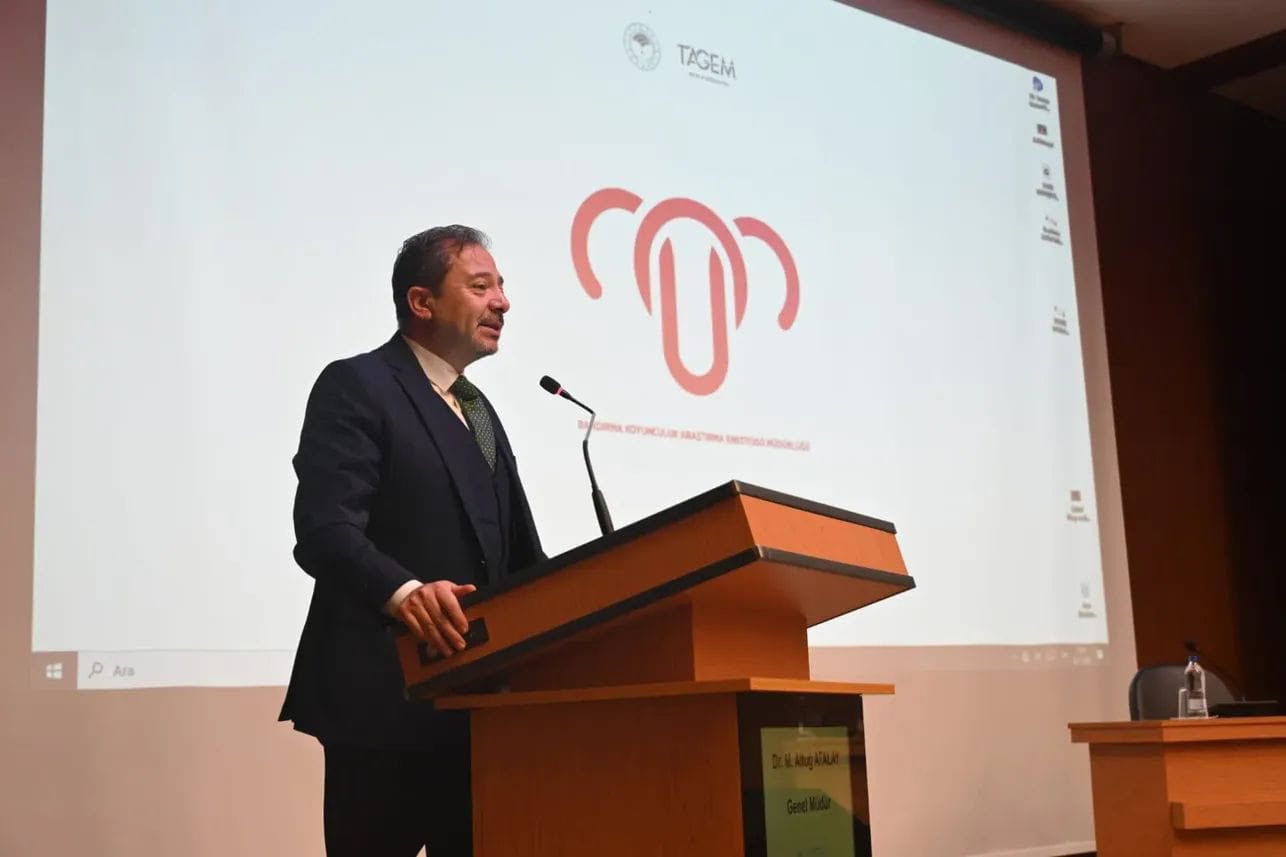 589866751 1253766443460882 8653723668281786560 N