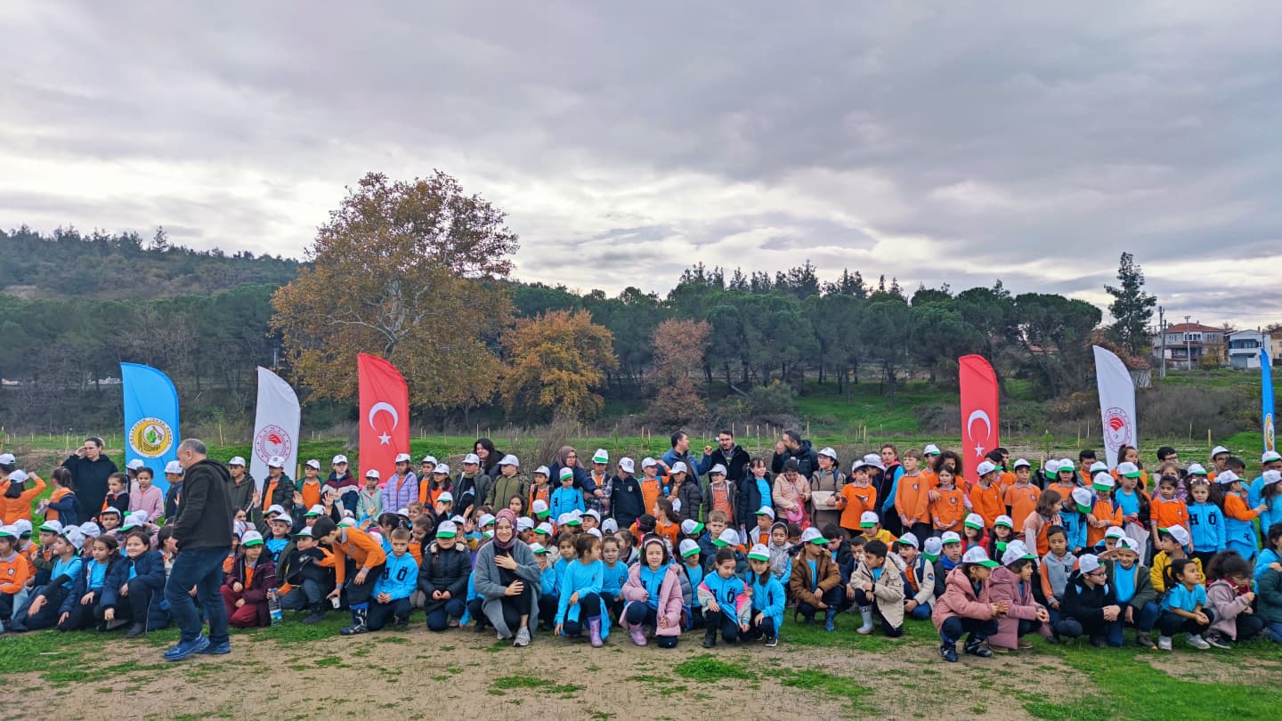 590730255 1306383348196667 3143548058071895799 N