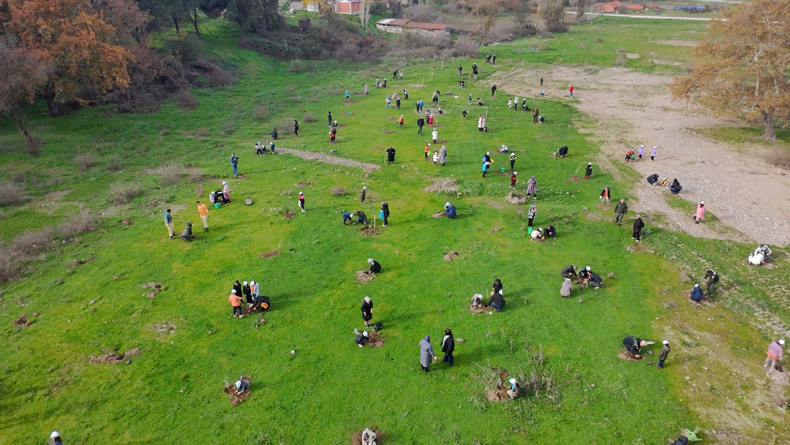 590779974 1306383744863294 3145744838602336838 N