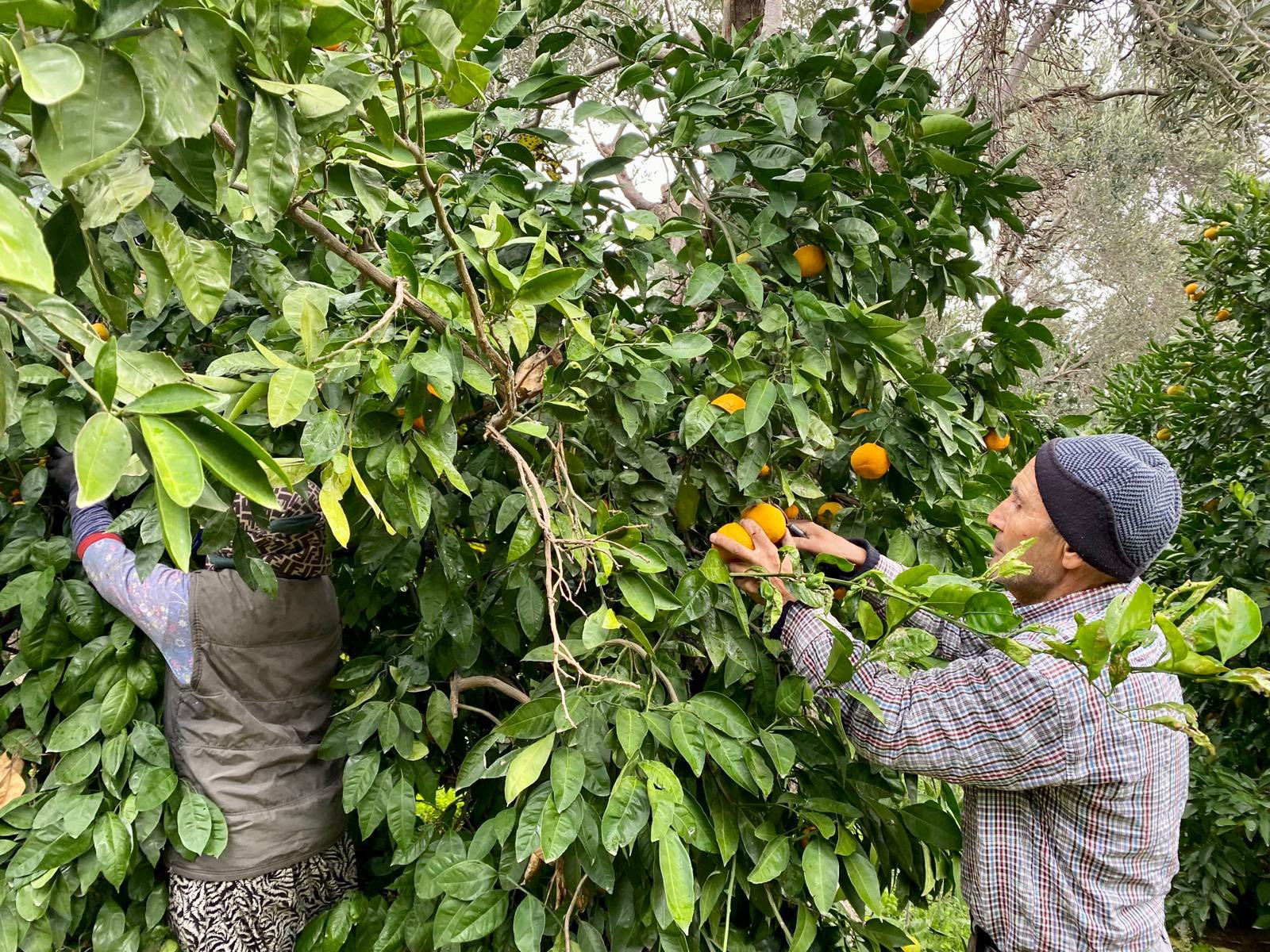 590846899 1253879170116276 6160257209433038997 N