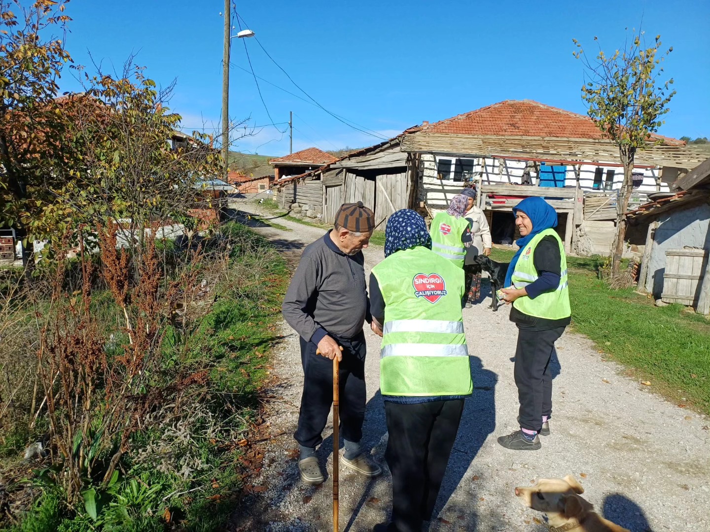 591004404 25432186093086034 8709702861784540297 N