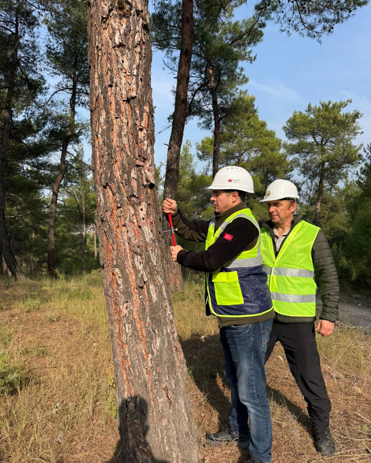 591361099 1307303278104674 3519926075665605413 N