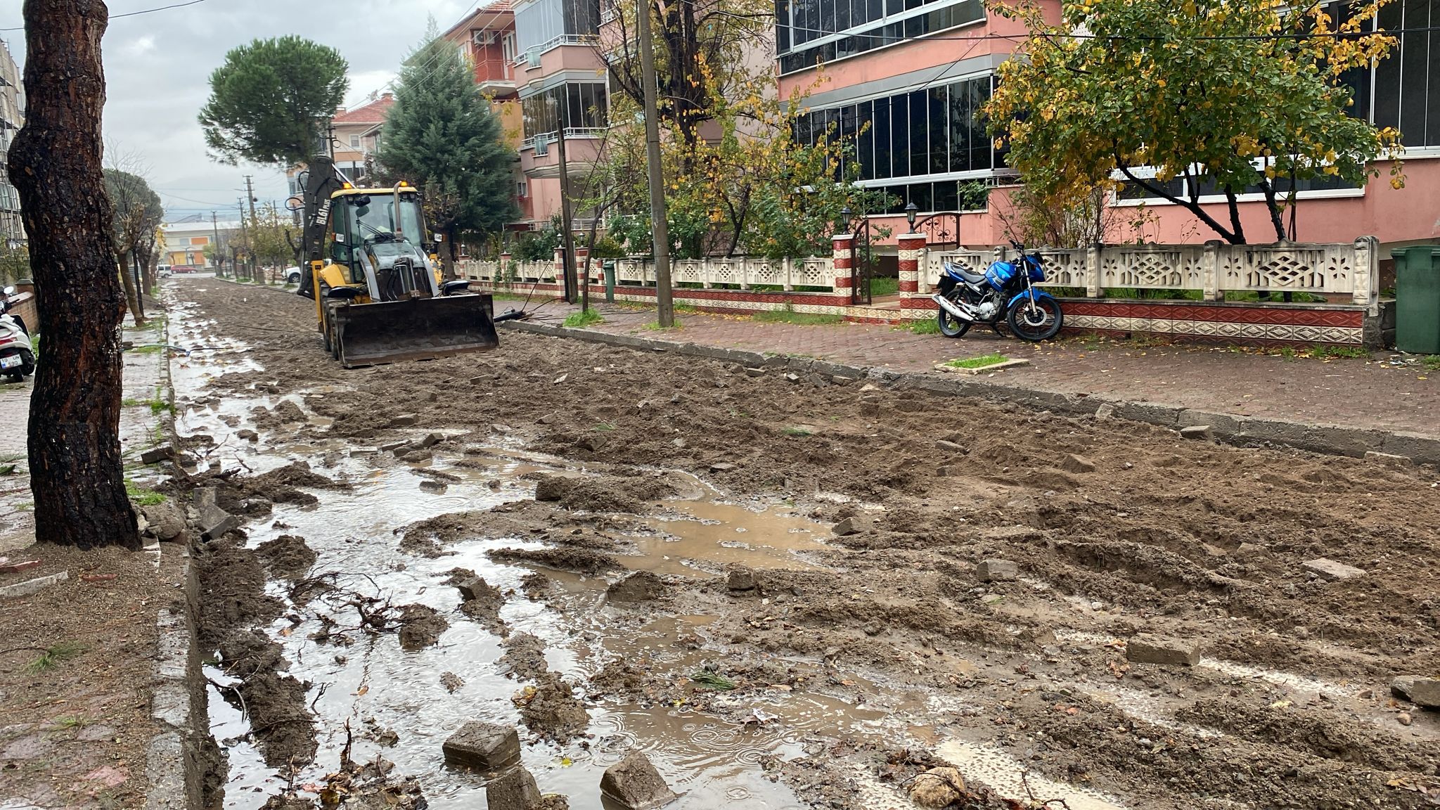 592146229 122221070234300867 5813748719021362077 N