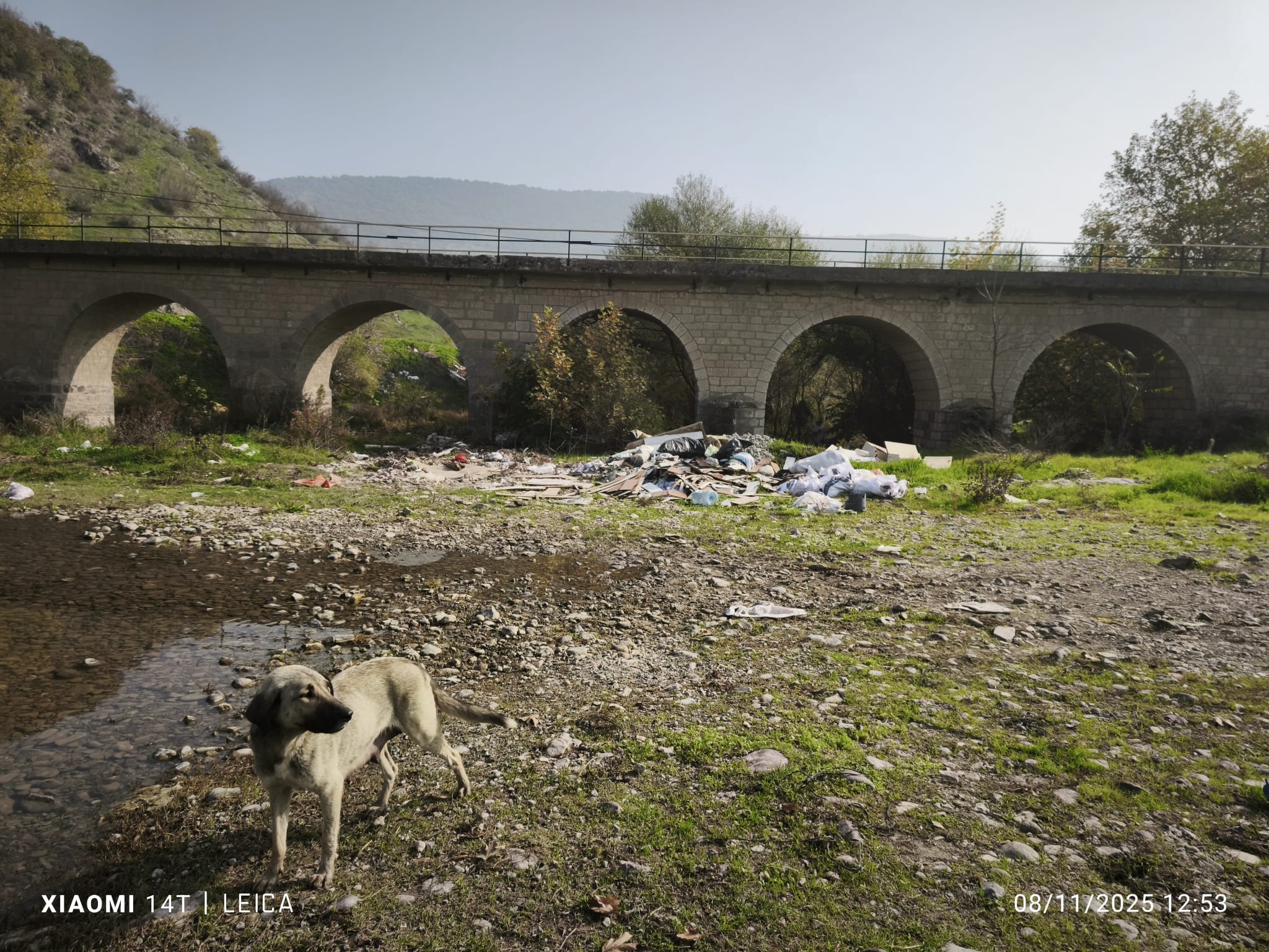 767Ebca6 D926 4B8E 816C 3A6A052D677B