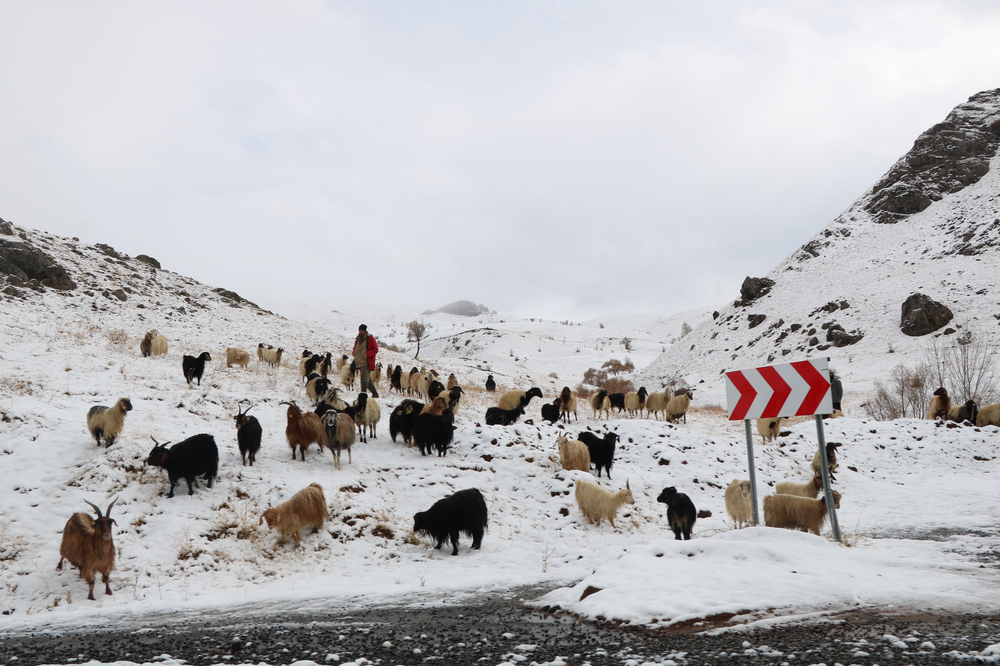 A A 20251115 39714536 39714534 H A K K A R I D E Y U K S E K K E S I M L E R E K A R Y A G D I