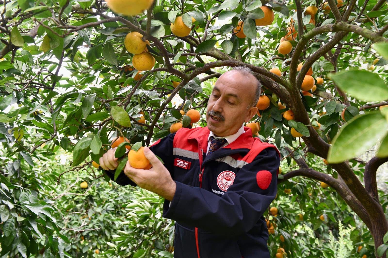 A A 20251127 39822009 39822001 B A L I K E S I R T A R I M V E O R M A N M U D U R U D U Z G U N H A V R A N M A N D A L I N A S I H A S A D I N A K A T I L D I