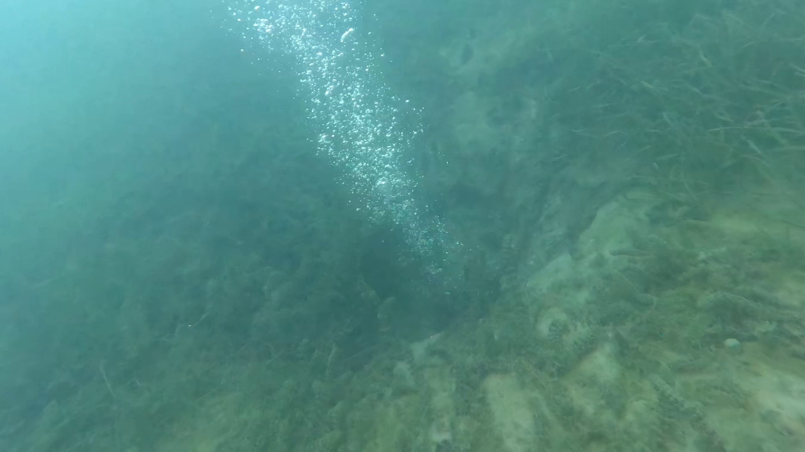 G6 Li K Z H Ww A A R U F F