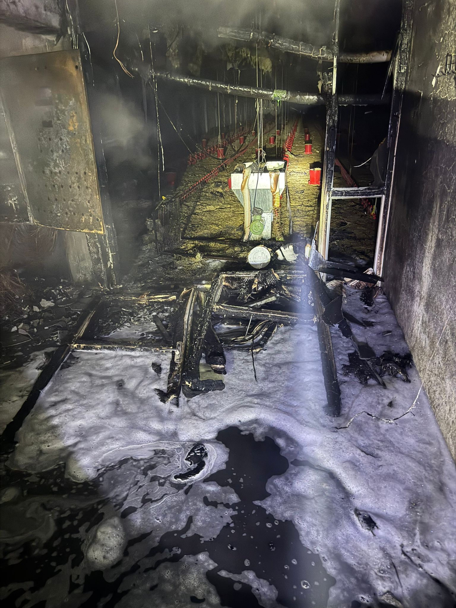 Whatsapp Image 2025 11 21 At 10.10.46-1