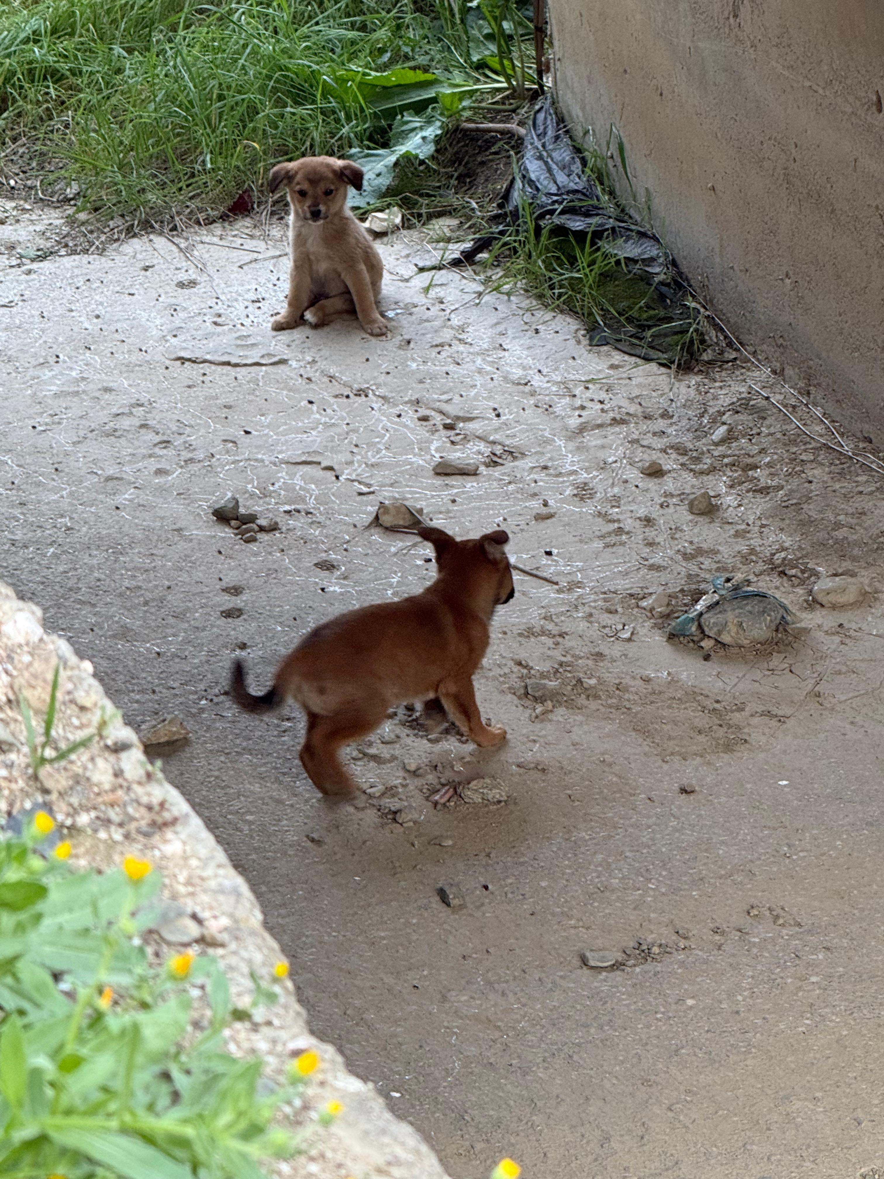 Whatsapp Image 2025 11 23 At 20.22.06