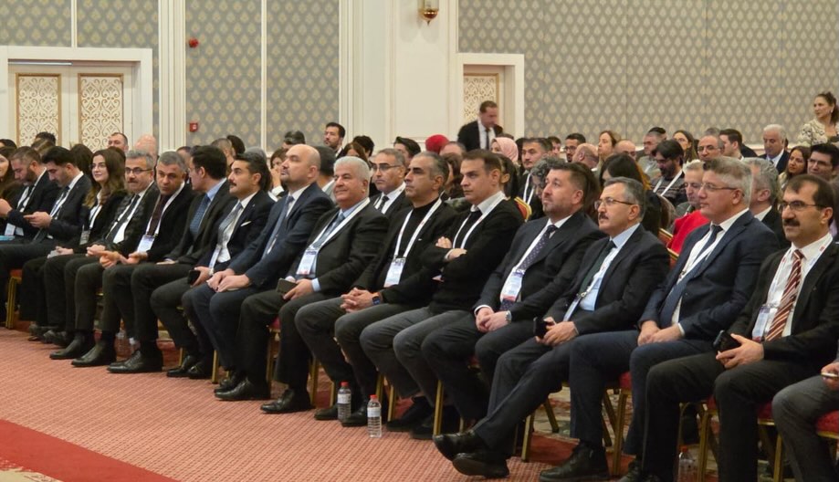 586695797 18051136304677787 5710044712211628559 N