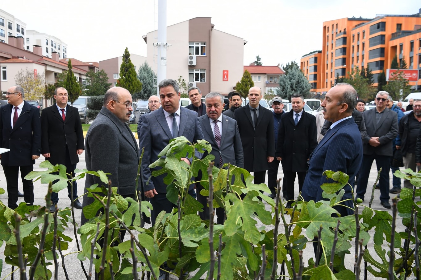 586708666 18317977903222704 7898691441520448397 N-2