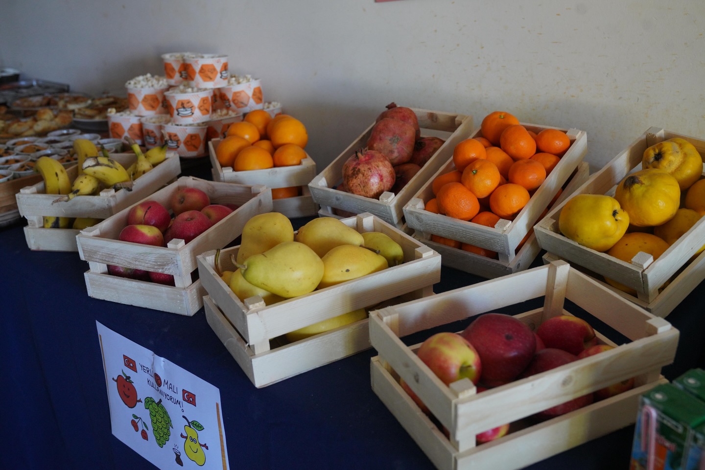 587286914 18518996026064151 7135365999139582538 N