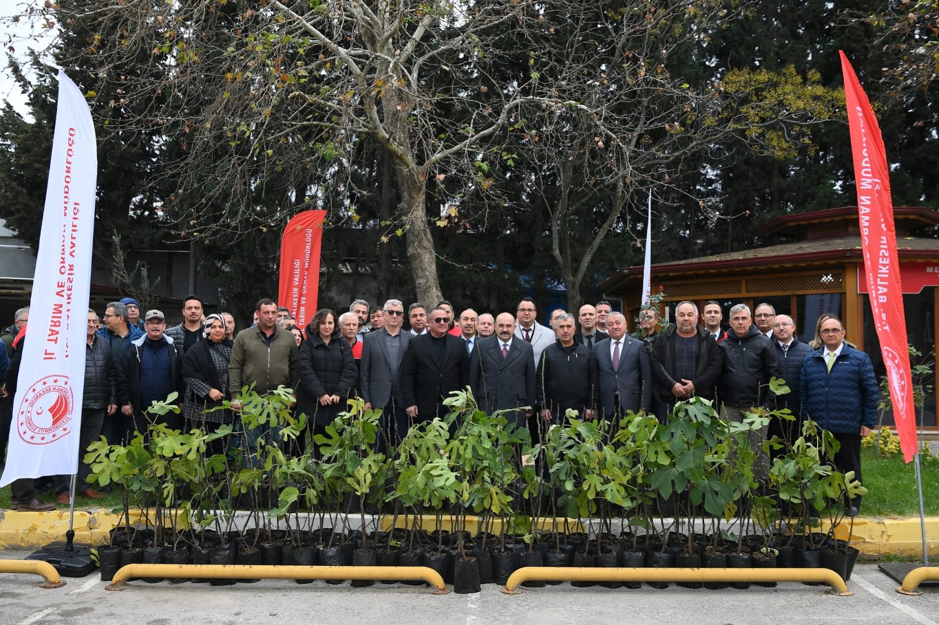 587394180 18317977909222704 1875055113284120783 N-1