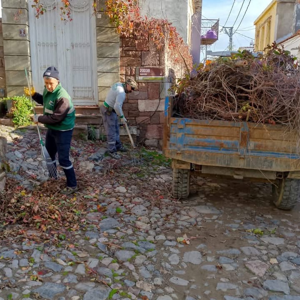 587815725 18516691474064151 6049783560770960069 N