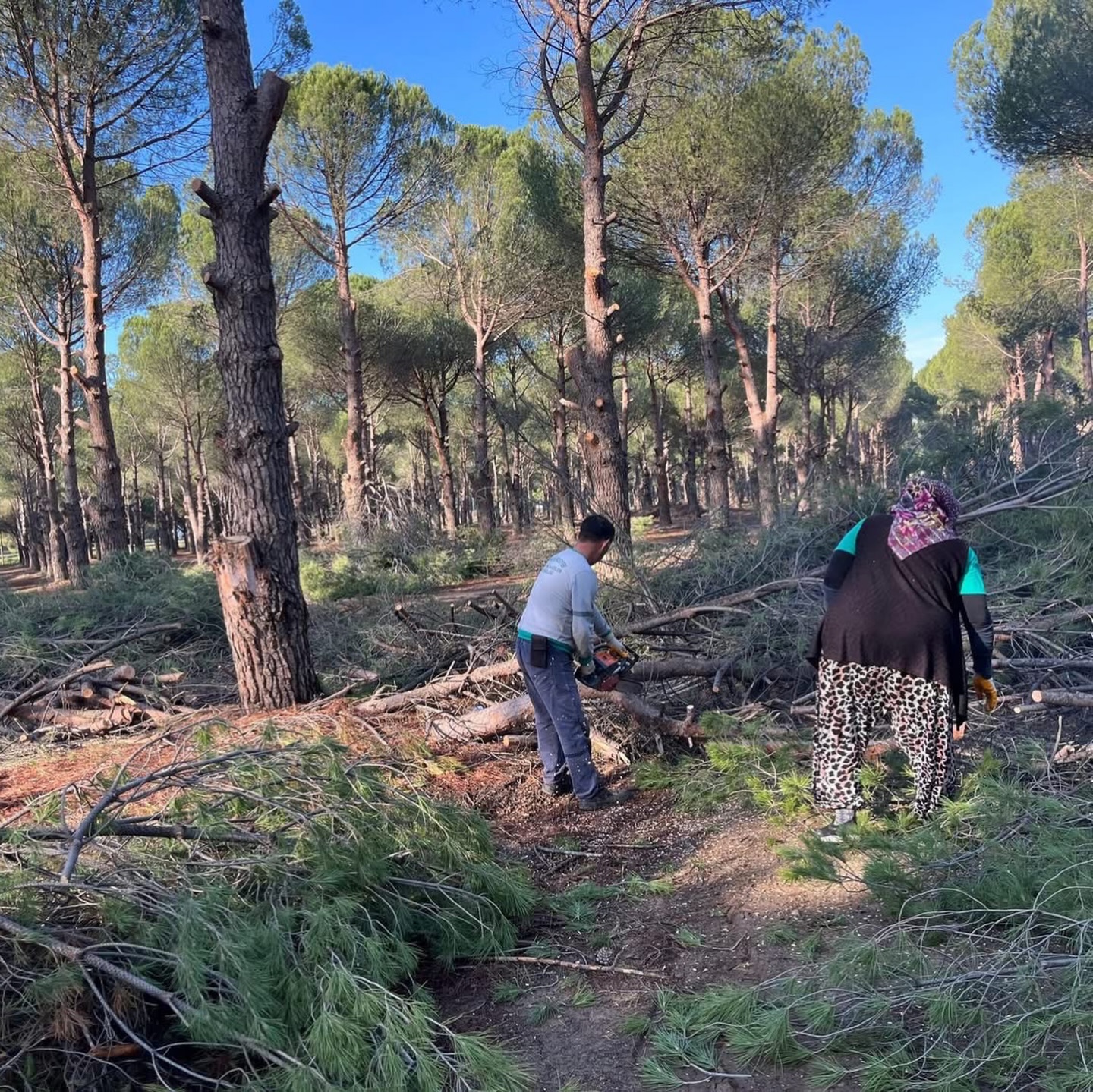 587971239 18516691492064151 3511809599133115220 N