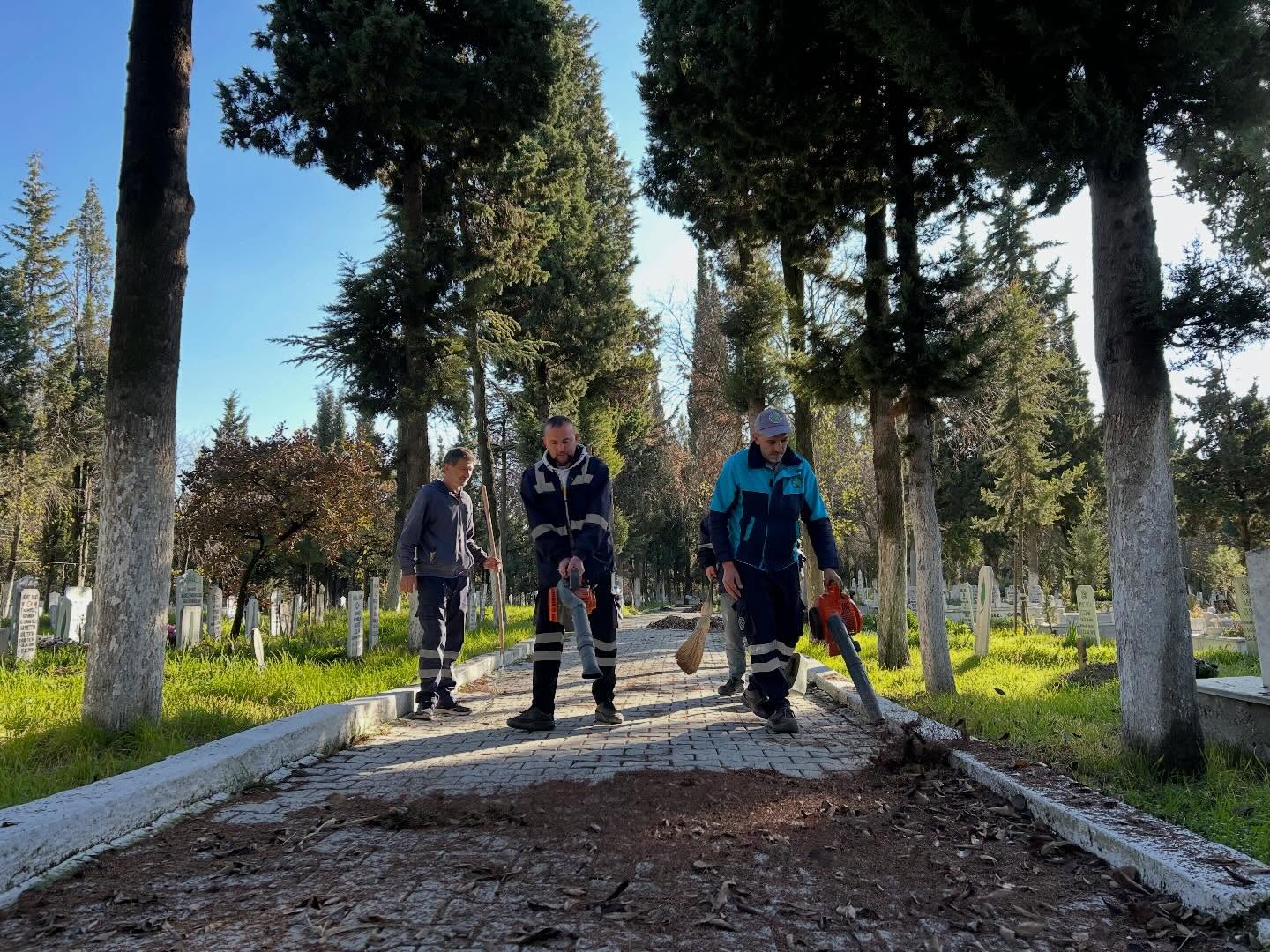 588495322 18501444709079512 5432910552022364036 N