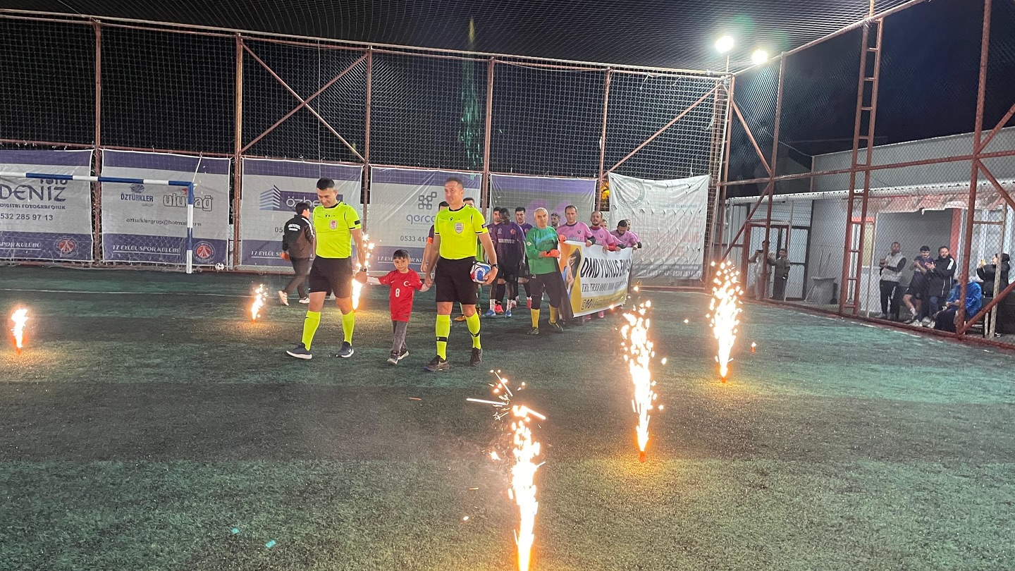 590913038 18338563060225400 6724100101555827676 N